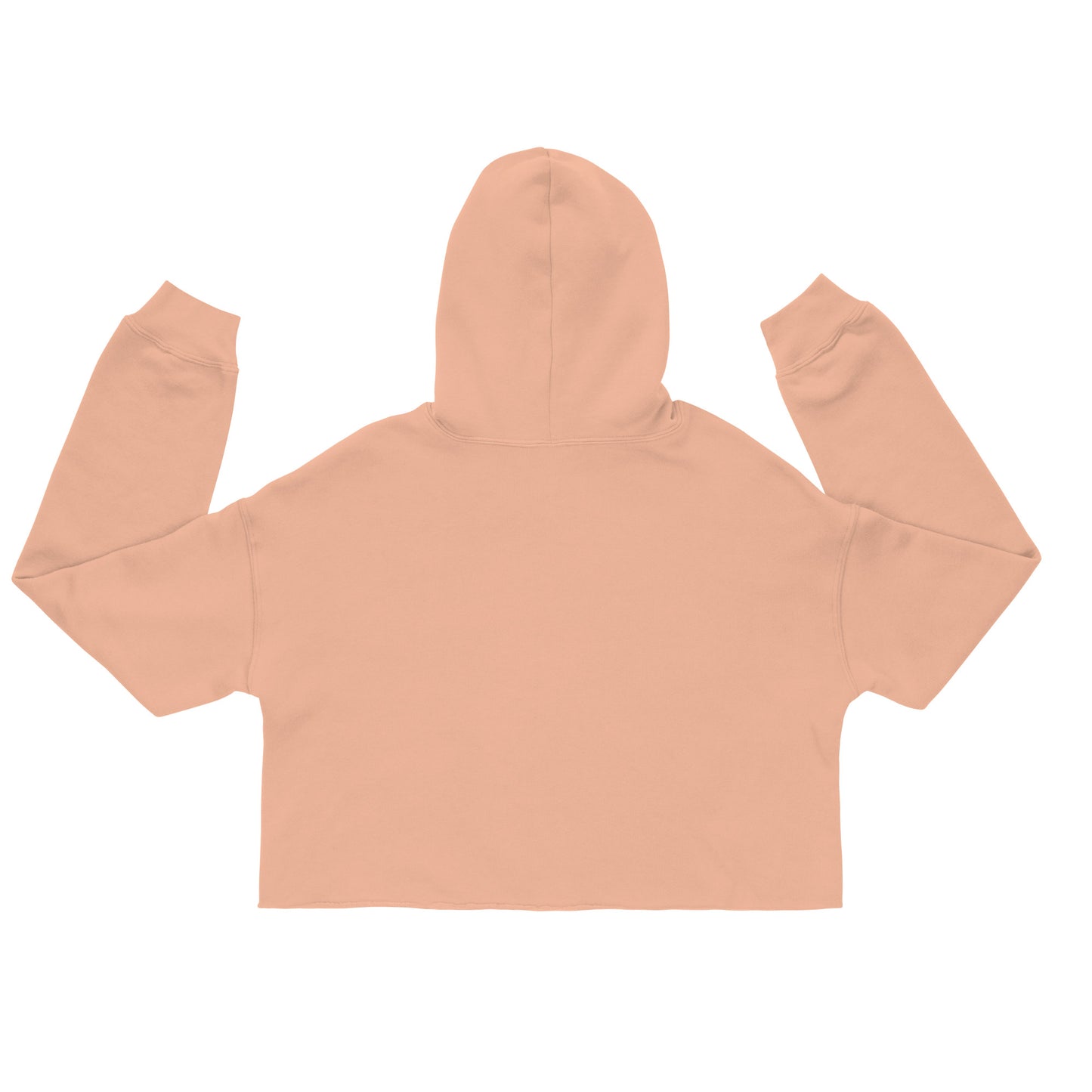 SISTERHOOD IS MEDICINE Crop Hoodie