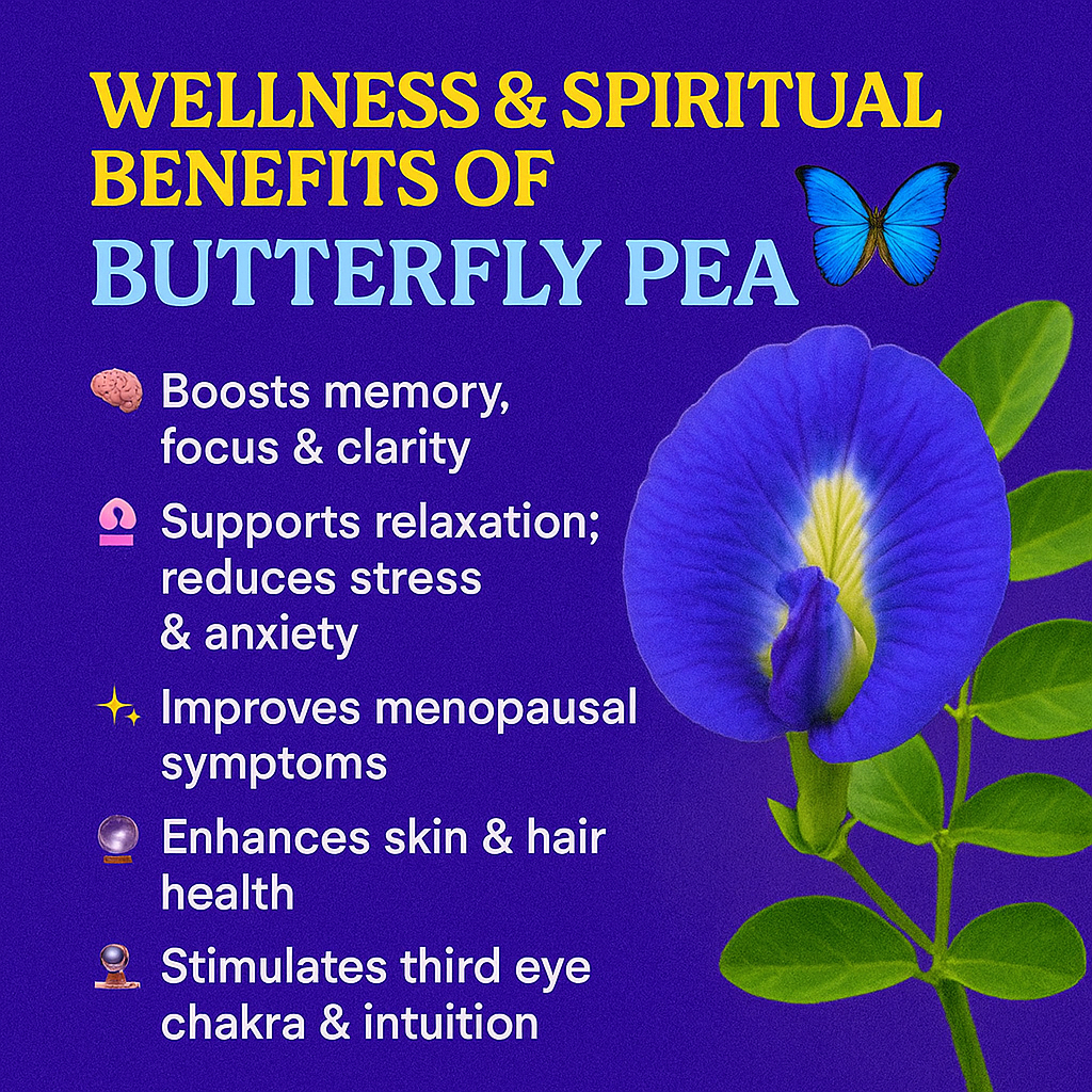 Butterfly Pea Flower